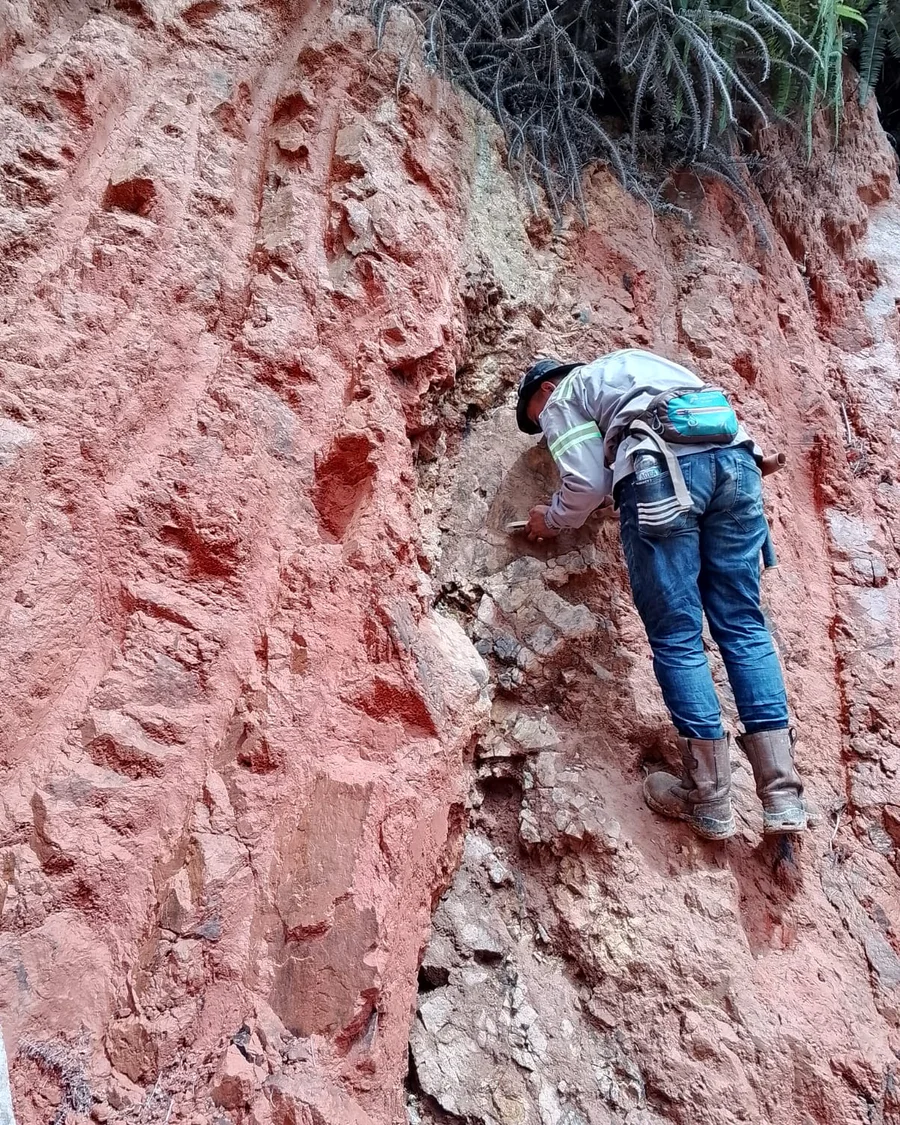 A geologist sampling a steep red weathered rock face during field work