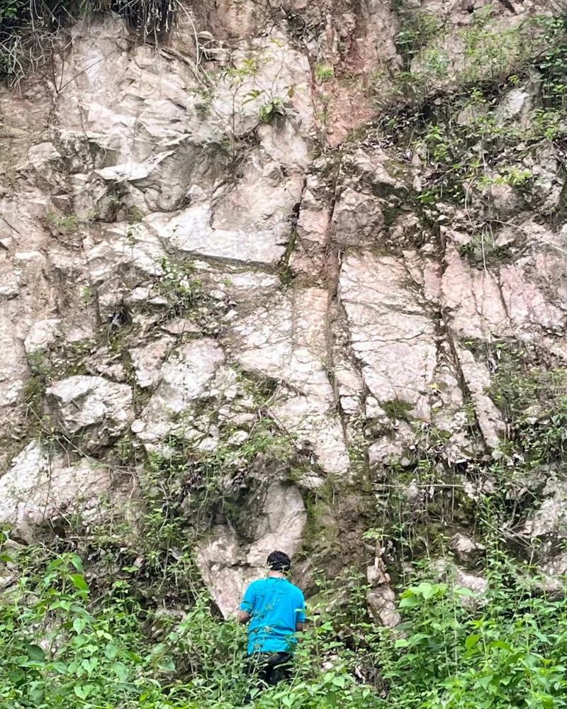 A geologist beside a large pale outcrop surrounded by dense tropical vegetation